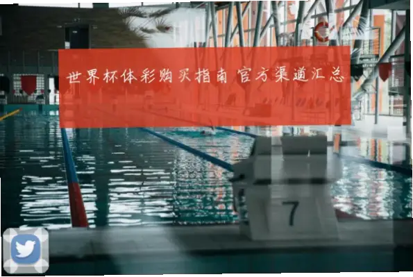 体彩怎么买世界杯？新手必备材料与流程